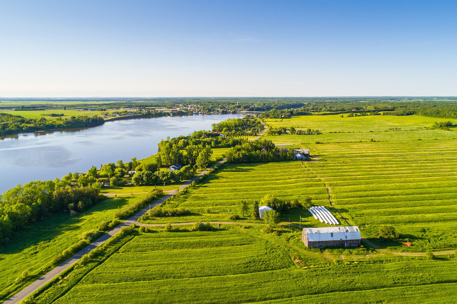 Lancement de l’Institut de recherche en agriculture et agroalimentaire